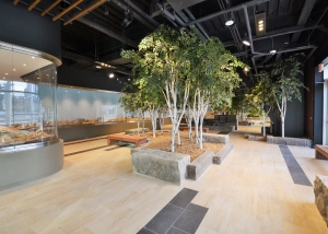 David Braley Health Science Centre Indoor Park Project Featured Image