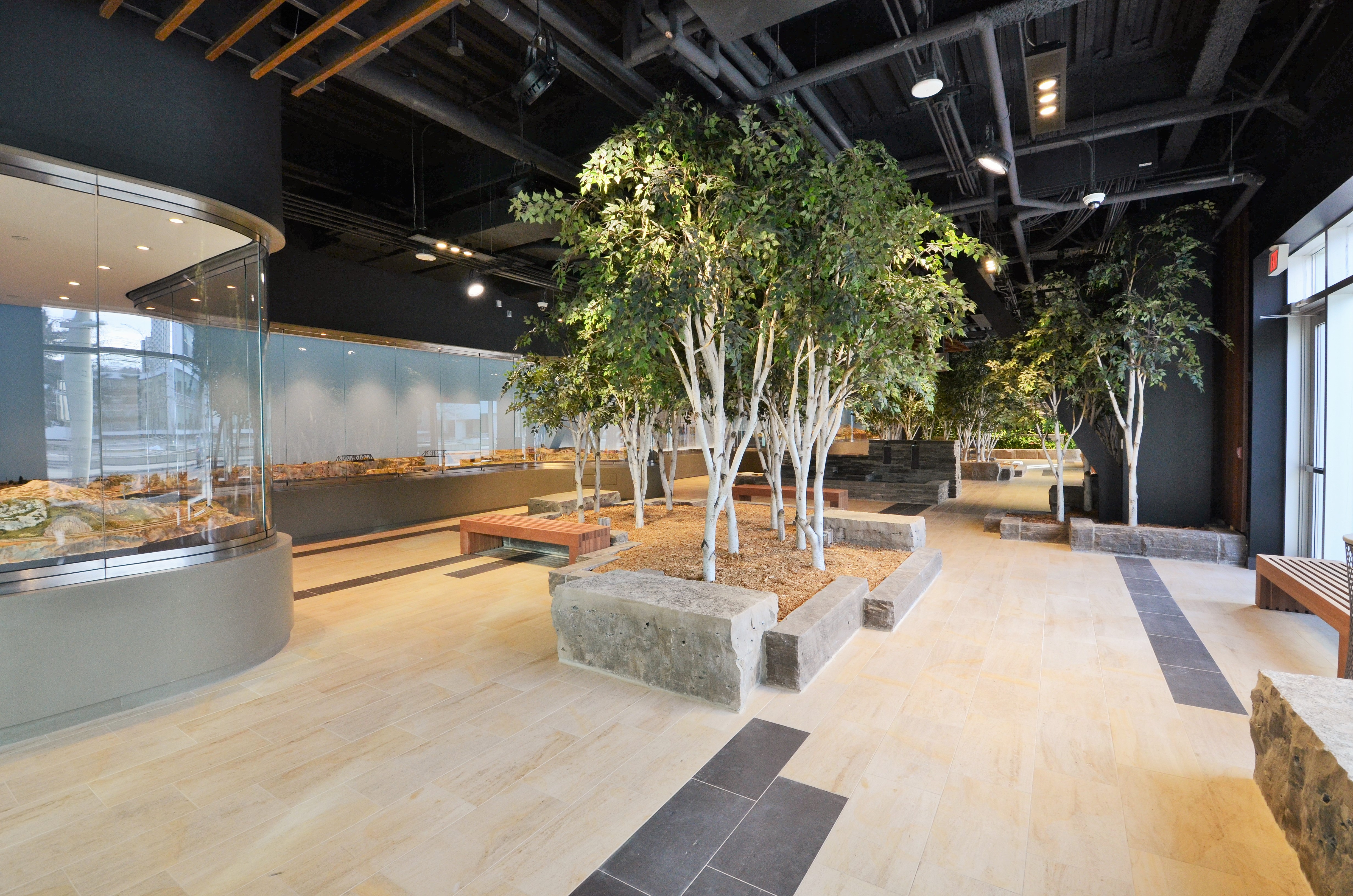 David Braley Health Science Centre Indoor Park Project Featured Image